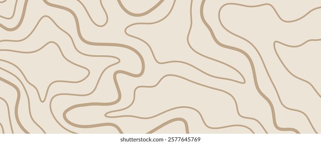 Topography background. Topographic contour map texture pattern. Abstract wavy cover. Stylized geographic landscape backdrop. Cartography vector illustration