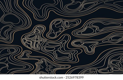 Topography background. Vector banner. Topography background. Vector geographic contour map. Background of the topographic map. Topographic map lines, contour background.