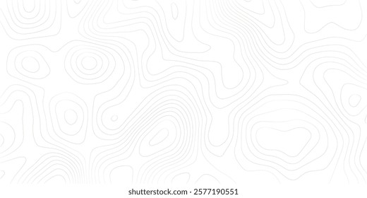 Topography background. Vector banner. Topography background. Vector geographic contour map. Background of the topographic map. Topographic map lines, contour background. 