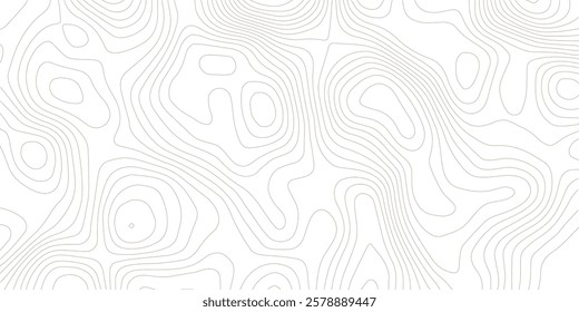 Topography background. Vector banner. Topography background. Vector geographic contour map. Background of the topographic map. Topographic map lines, contour background. 