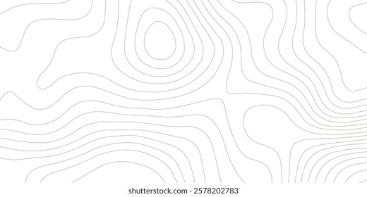 Topography background. Vector banner. Topography map background. Vector geographic contour map. Background of the topographic map. Topographic map lines, contour background. 