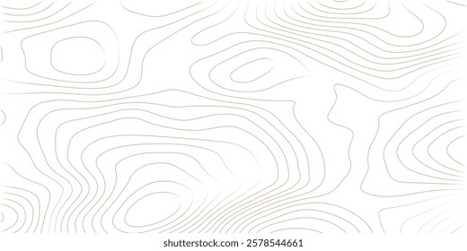 Topography background. Vector banner. Topography map background. Vector geographic contour map. Background of the topographic map. Topographic map lines, contour background. 