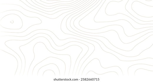 Topography background. Vector banner. Topography map background. Vector geographic contour map. Background of the topographic map. Topographic map lines, contour background. 