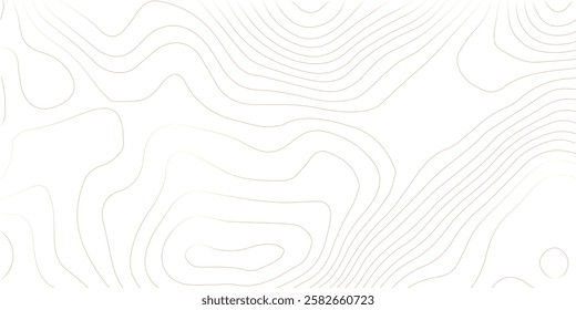 Topography background. Vector banner. Topography map background. Vector geographic contour map. Background of the topographic map. Topographic map lines, contour background. 