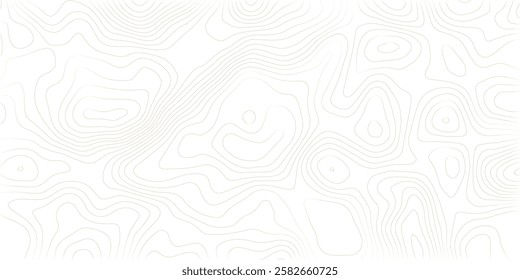 Topography background. Vector banner. Topography map background. Vector geographic contour map. Background of the topographic map. Topographic map lines, contour background. 