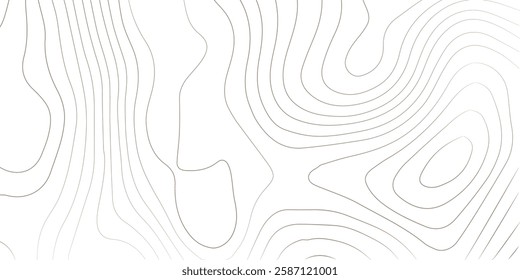 Topography background. Vector banner. Topography map background. Vector geographic contour map. Background of the topographic map. Topographic map lines, contour background. 