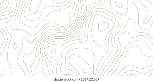 Topography background. Vector banner. Topography map background. Vector geographic contour map. Background of the topographic map. Topographic map lines, contour background. 