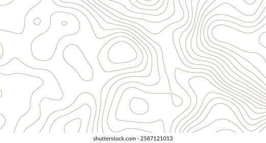 Topography background. Vector banner. Topography map background. Vector geographic contour map. Background of the topographic map. Topographic map lines, contour background. 