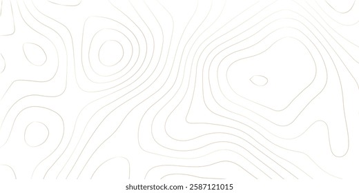 Topography background. Vector banner. Topography map background. Vector geographic contour map. Background of the topographic map. Topographic map lines, contour background. 