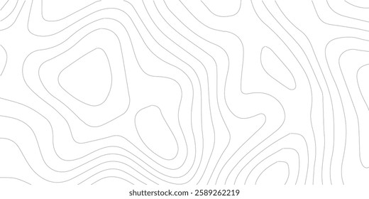 Topography background. Vector banner. Topography map background. Vector geographic contour map. Background of the topographic map. Topographic map lines, contour background. 