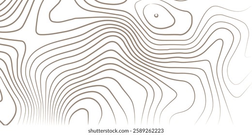 Topography background. Vector banner. Topography map background. Vector geographic contour map. Background of the topographic map. Topographic map lines, contour background. 