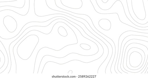 Topography background. Vector banner. Topography map background. Vector geographic contour map. Background of the topographic map. Topographic map lines, contour background. 