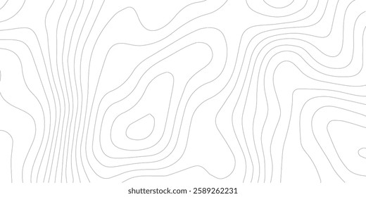 Topography background. Vector banner. Topography map background. Vector geographic contour map. Background of the topographic map. Topographic map lines, contour background. 