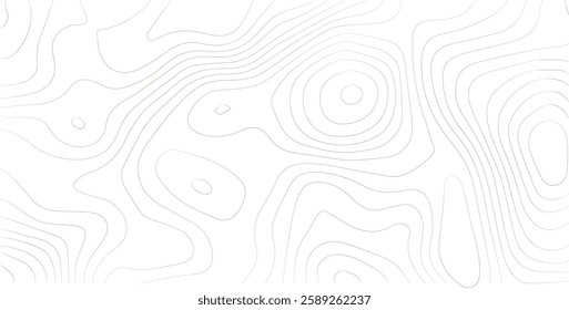 Topography background. Vector banner. Topography map background. Vector geographic contour map. Background of the topographic map. Topographic map lines, contour background. 