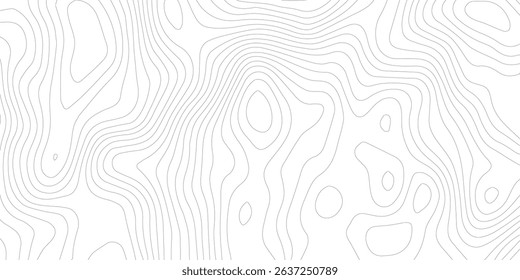 Topography background. Vector banner. Topography map background. Vector geographic contour map. Background of the topographic map. Topographic map lines, contour background.