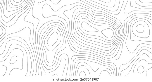 Topography background. Vector banner. Topography map background. Vector geographic contour map. Background of the topographic map. Topographic map lines, contour background. 