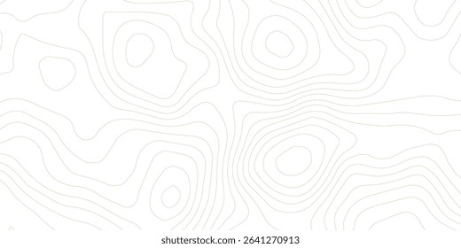 Topography background. Vector banner. Topography map background. Vector geographic contour map. Background of the topographic map. Topographic map lines, contour background. 