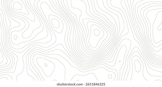 Topography background. Vector banner. Topography map background. Vector geographic contour map. Background of the topographic map. Topographic map lines, contour background. 