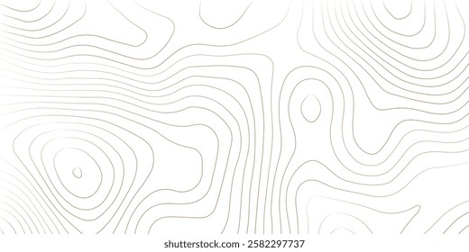 Topography background. Vector banner. Background of the topographic map. Topographic map lines, contour background. Topography background. Vector geographic contour map. 