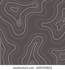 Topography land map background texture