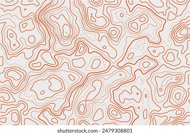 topography map abstract  pattern background