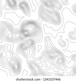 Topography map background. Grid map. Contour. Vector illustration.