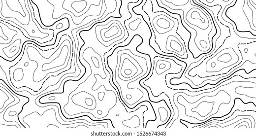 Topography map background. Vector geographic contour map.