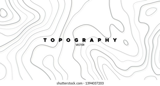 Topography relief. Abstract background. Vector illustration. Outline cartography landscape. Modern poster design. Trendy cover with wavy lines