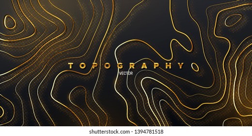 Topography relief. Abstract background. Vector illustration of curvy golden paths textured with shimmering glitters. Outline cartography landscape. Modern poster design. Trendy cover with wavy lines