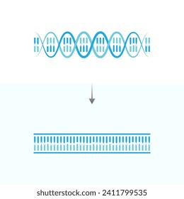 Topoisomerase Enzyme Function Scientific Design. Vector Illustration.