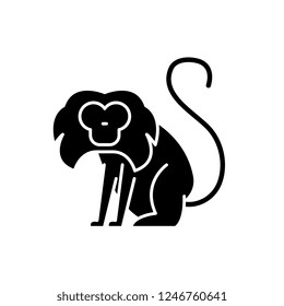 Toque black icon, vector sign on isolated background. Toque concept symbol, illustration 