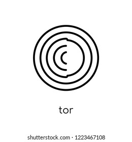 Tor icon. Trendy modern flat linear vector Tor icon on white background from thin line Cryptocurrency economy and finance collection, editable outline stroke vector illustration