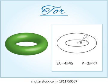 Tor. Image of volumetric geometrical figure with examples of such objects form. Vector illustration