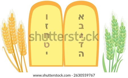 Torah Two tablets of the testimony with Ten commandments tablets of stone, wheat, barley isolated on white background. Jewish Holiday Pentecost Shavuot holiday icon religion traditions Passover banner