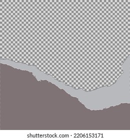 Tore off half a sheet of gray paper from the bottom. Vector paper design template.