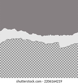 Tore off half a sheet of gray paper from the top. Vector paper design template.
