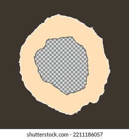 Tore off a piece of colored paper. Vector paper design template. Vector