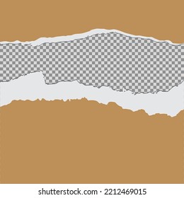Tore off a piece of colored paper. Vector paper design template. Vector