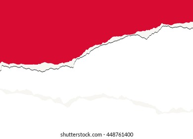 Torn 3D Isometric Flag Illustration of the country of Monaco