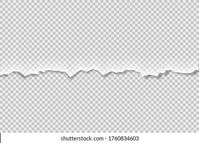Torn in abstract style on transparent background. Vector bacground for banner design.