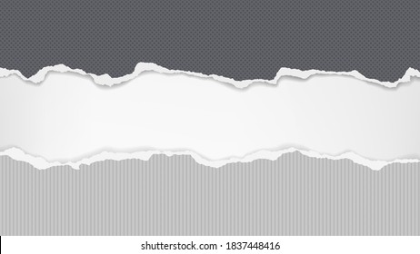 Torn of black with dots and lined grey paper strips, piece are on white background for text, advertising or design. Vector illustration