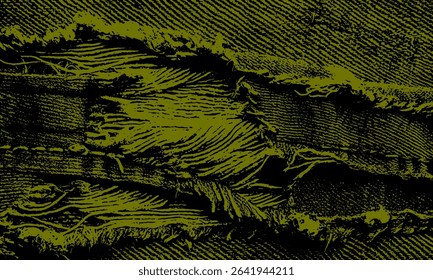 Torn Black Grunge Texture on Olive Surface