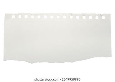 torn blank pages with uneven texture edges. set of ripped white paper sheets png isolated on transparent background. document or newspaper mockup, school circle notebook