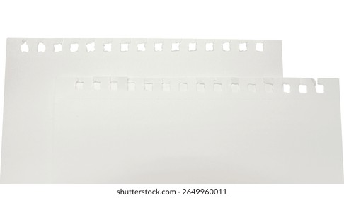 torn blank pages with uneven texture edges. set of ripped white paper sheets png isolated on transparent background. document or newspaper mockup, school circle notebook