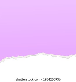 Torn from the bottom half of a sheet of purple paper. Paper design template. White background underneath.