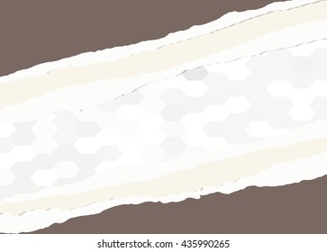 Torn brown paper pieces are stuck on gray hexagon pattern