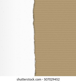Torn cardboard pieces with space for text. Craft textured. Precentation concept. Vector illustration