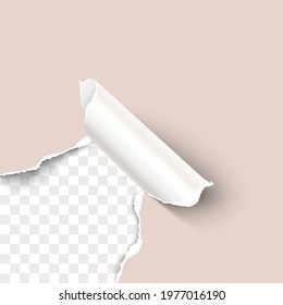 Torn craft paper hole with paper curl over transparent background realistic vector template