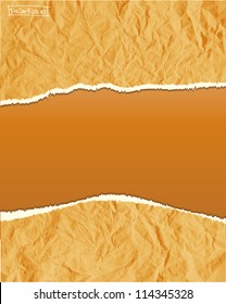 Torn crumpled paper vector