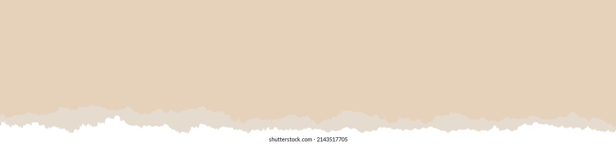 Torn edge brown paper stripe blank mockup